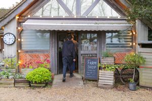 Photo 7- click for photo gallery